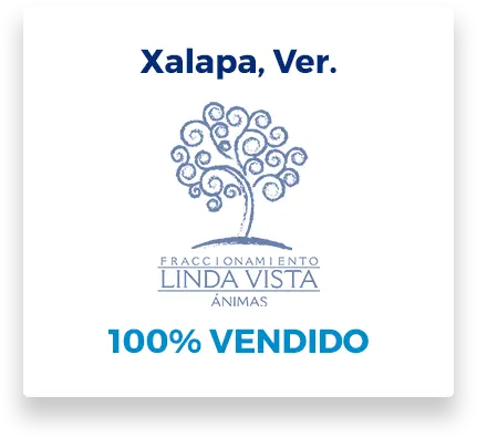 logo Linda Vista.webp